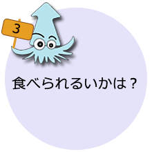 食べられるいかは？